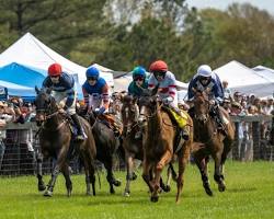 Parimutuel betting in South Carolina
